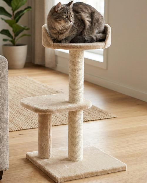 Wcwo Compact Sisal Cat Tree 72 cm Beige with Raised Perch - Lifestyle view